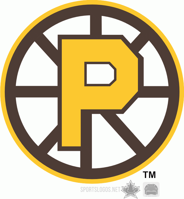 Providence Bruins 2009 10-Pres Alternate Logo iron on heat transfer